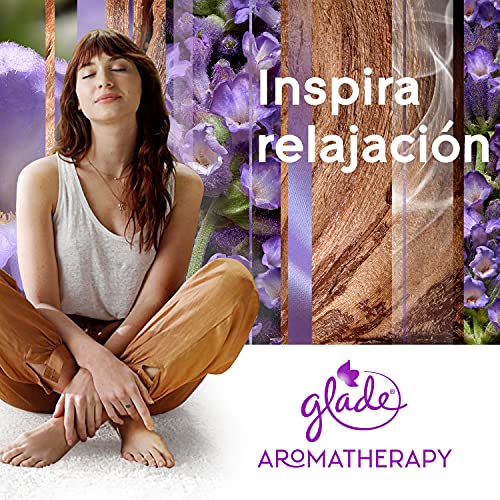 Glade Aromatherapy Varillas Fragancia Moment Of Zen, Líquido Con Aceites Esenciales, color Incoloro, 80 ml