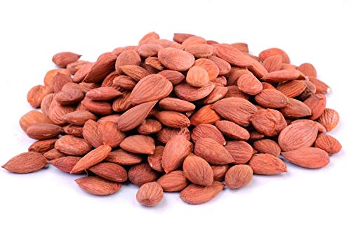 Granos de albaricoque amargo de comercio justo orgánico - 500 g - naturales y secados suavemente - de la colección salvaje