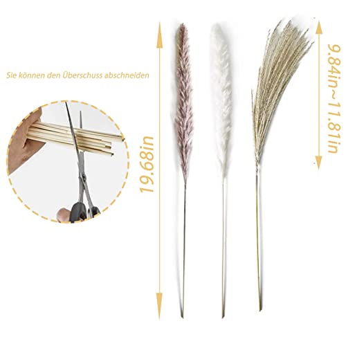 Grass Secas para La DecoracióN del Hogar,Hierba De Pampas,Pampas Grass Decoracion ,Hierba De Pampa PequeñA Seca ,Flores PequeñA Secas ,Pampas Grass,Naturales Blancos Pampas Phragmites Tallos (70pcs)
