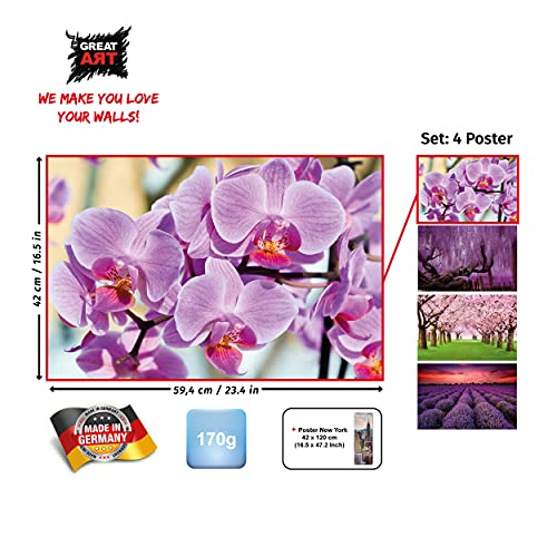 GREAT ART® juego de 4 motivos de carteles | Din A2 - 42 x 59,4 | mezcla de rosa y violeta | orquídea flor de cerezo glicina campo de lavanda | Cuadros para niños decoración póster
