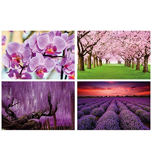 GREAT ART® juego de 4 motivos de carteles | Din A2 - 42 x 59,4 | mezcla de rosa y violeta | orquídea flor de cerezo glicina campo de lavanda | Cuadros para niños decoración póster