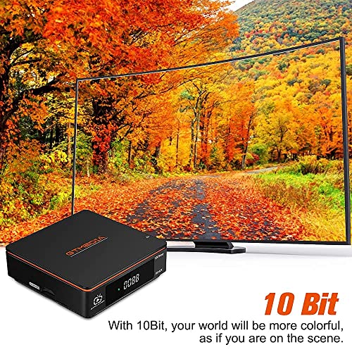 GTMEDIA V9 Prime Decodificador Satelite,DVB-S/S2/S2X 2.4G WiFi Incorporado Receptor Satelite Soporta PVR/T2-MI/Biss Auto Roll/AVS+/VCM/ACM,H.265 1080P Full HD IPTV,HEVC 10 Bits, Cccam, Newcam, youtube