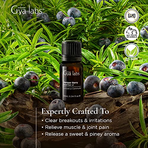 Gya Labs aceite esencial de bayas de enebro (10ml) - Aceite puro de grado terapéutico - Perfecto para aromaterapia, piel sensible y dolores musculares - Uso en difusor o sobre la piel