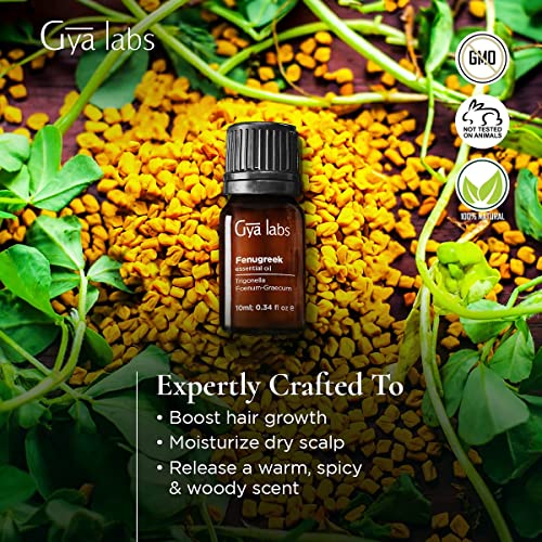 Gya Labs Aceite esencial de fenogreco para el crecimiento del cabello - Aceite natural de fenogreco para el cuidado de la piel - Grado terapéutico 100 puro para aromaterapia - 10 ml