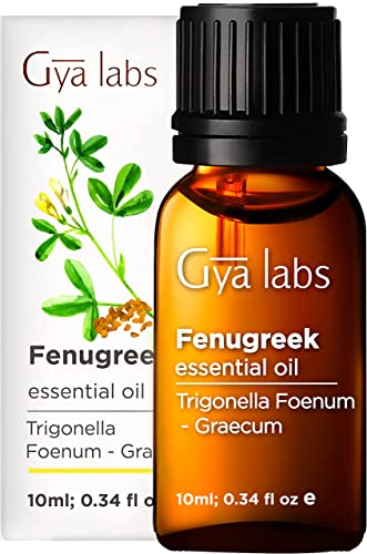 Gya Labs Aceite esencial de fenogreco para el crecimiento del cabello - Aceite natural de fenogreco para el cuidado de la piel - Grado terapéutico 100 puro para aromaterapia - 10 ml