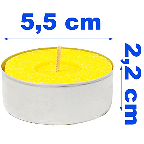 H HANSEL HOME Velas de Té Citronela Grande, Tealight Citronela Perfumada Antimosquitos Velas Citronela - Pack 20 Velas, 10 Horas de Combustión