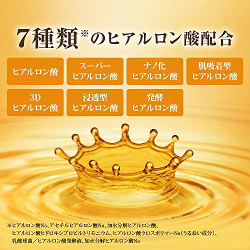 Hada Labo Gokujun Premium Hyaluronic Acid Refill Beauty Essence 170mL