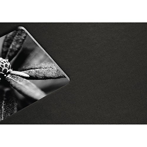 Hama Fine Art Cartón, Papel Negro álbum de Foto y Protector - Álbum de fotografía (Negro, Cartón, Papel, 50 Hojas, 10 x 15 cm, 1 Pieza(s), 360 mm)