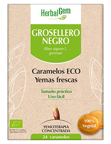 Herbalgem - Grosellero Negro - Caramelos Yemas Frescas, 24 Caramelos
