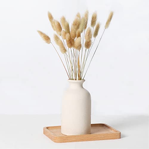 Hierba de Pampa pequeña Seca,Ramos de Pampas,Pampas Grass Decoracion,Grass secas para la decoración del hogar,Hierba de Pampas,Pampas Grass (C)