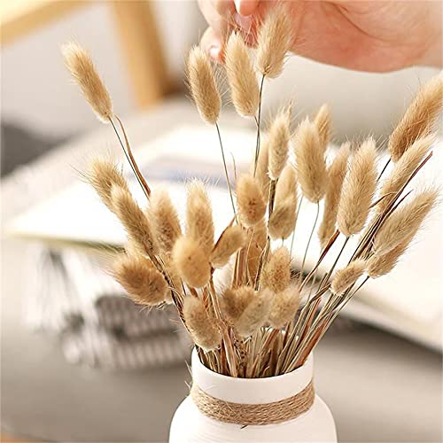 Hierba de Pampa pequeña Seca,Ramos de Pampas,Pampas Grass Decoracion,Grass secas para la decoración del hogar,Hierba de Pampas,Pampas Grass (C)