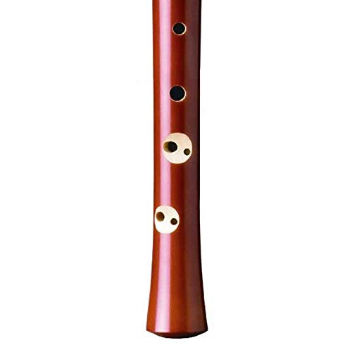 Hohner B9560Flauta dulce (en do, soprano, de madera de peral) + 9550Flauta dulce (en do, soprano, de madera de peral), color rojo