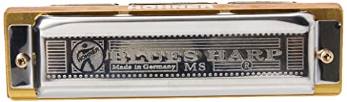 Hohner M533016 - Armónica en Do Mayor (acero inoxidable), color azul