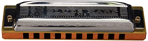 Hohner M533016 - Armónica en Do Mayor (acero inoxidable), color azul