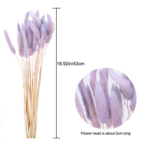 HUAESIN 30pcs Flores Secas Naturales Pequeñas Purpura 43cm Tallo de Hierba de Pampas Secas Decoracion Grass Planta Seca Pluma para Jarrones Boda Fiesta Balcon Exterior Interior Hogar Mesa Navidad