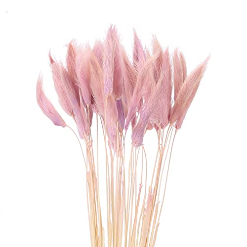 HUAESIN 30pcs Flores Secas Naturales Pequeñas Purpura 43cm Tallo de Hierba de Pampas Secas Decoracion Grass Planta Seca Pluma para Jarrones Boda Fiesta Balcon Exterior Interior Hogar Mesa Navidad