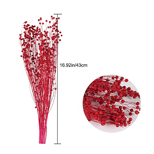 HUAESIN Ramo de Flores Secas Decoraicon Pequeñas, un Ramillete Flor Seca Natural Paniculata Preservada Color Rosa para Esposas Fiesta Manualidad Casa Jarrones Mesa Cafeteria Adenanthera Pavomina