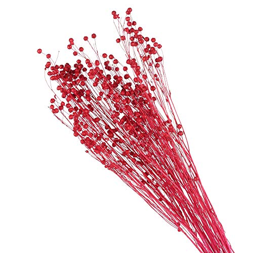 HUAESIN Ramo de Flores Secas Decoraicon Pequeñas, un Ramillete Flor Seca Natural Paniculata Preservada Color Rosa para Esposas Fiesta Manualidad Casa Jarrones Mesa Cafeteria Adenanthera Pavomina