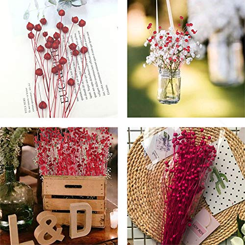 HUAESIN Ramo de Flores Secas Decoraicon Pequeñas, un Ramillete Flor Seca Natural Paniculata Preservada Color Rosa para Esposas Fiesta Manualidad Casa Jarrones Mesa Cafeteria Adenanthera Pavomina