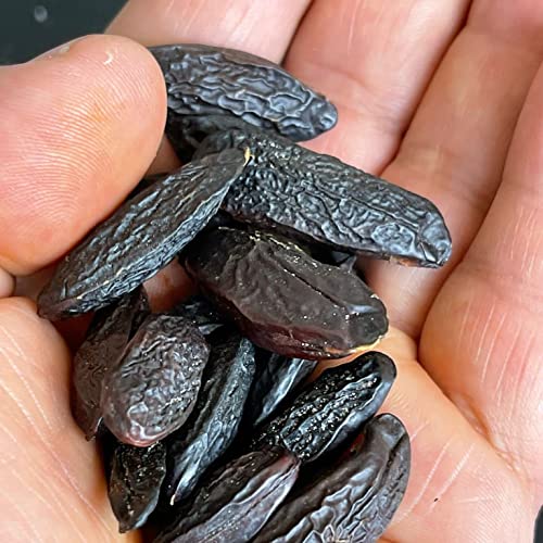 Huevas Tonka de Brasil – 100 g