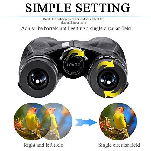 HUTACT Prismáticos Pequeños, Ultra HD 10X42, Lentes Completamente Cubiertos con Multicapa FMC, Adecuados para Viajes al Aire Libre, Observación de Animales y la Mejor Opción para Ver un Concierto.