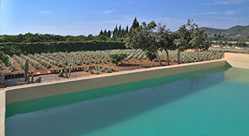 IBIZALOE Protección Solar SPF 15 | Crema Solar | Ecológica | Filtro Solar Físico | Aloe Vera | 100ml