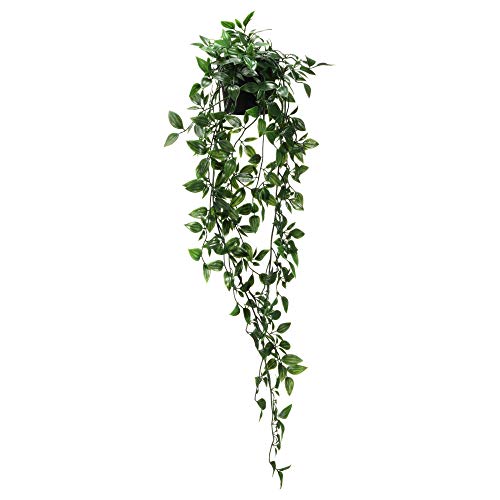 IKEA 403.495.31 Fejka - Planta Artificial en Maceta, Interior y Exterior, 9 cm