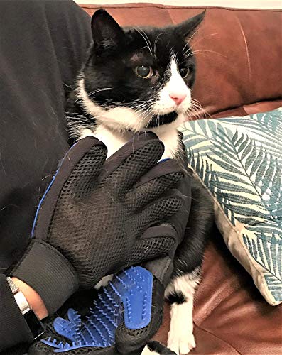 JIASHA Guante De Mascotas,Guantes Manopla Masaje,Guante de Masaje para Mascotas,Eliminación De Pelo Perro Guantes Manopla Masaje para Mascotas Perros Mascotas Gatos Masaje Grooming