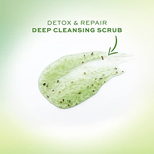 John Frieda | Detox & Repair | Exfoliante Capilar Natural de Limpieza Profunda | Elimina la Suciedad del Cuero Cabelludo | 150 ml
