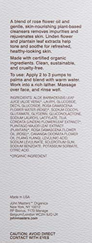 John Masters Organics Espuma de Lavado Facial con Rosa y Flor de Tilo 112 ml