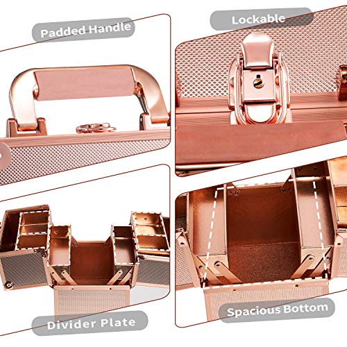 Joligrace Maletín Maquillaje Estuche de Maquillaje Maletín de Manicura Makeup Joyero Caja Maletines Maquillaje Vacío Cosméticos Organizador Beauty Case de Viaje Profesional (Dorado)