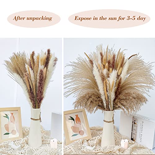 JRHPSUPER 80 Unidades de Hierba Natural de Pampas secas, 44 cm Flores secas decoración para Dormitorio, balcón, Cocina, Cuarto de baño