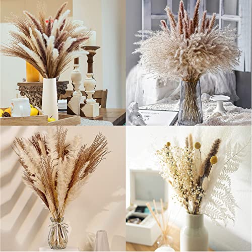 JRHPSUPER 80 Unidades de Hierba Natural de Pampas secas, 44 cm Flores secas decoración para Dormitorio, balcón, Cocina, Cuarto de baño
