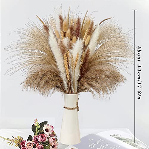 JRHPSUPER 80 Unidades de Hierba Natural de Pampas secas, 44 cm Flores secas decoración para Dormitorio, balcón, Cocina, Cuarto de baño