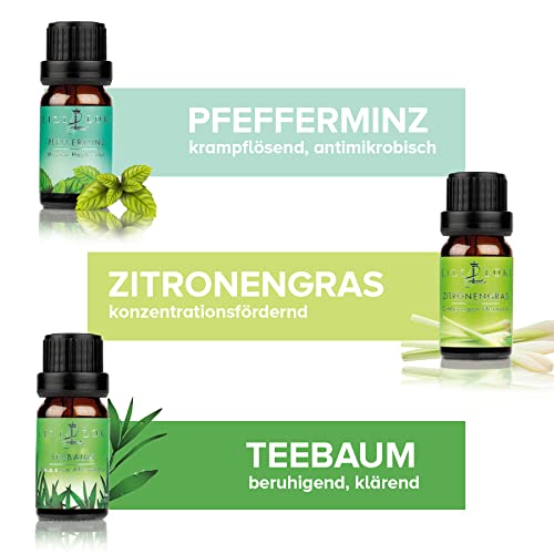 Juego de 6 aceites esenciales para difusor, vela, aroma, aroma