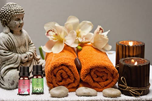 Juego de 6 aceites esenciales para difusor, vela, aroma, aroma
