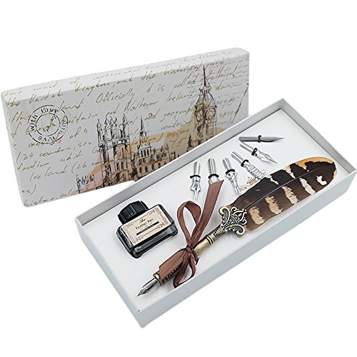 Juego de Bolígrafos de Caligrafía de Plumas Vintage con 6 Plumilla, Tinta Negra, para Bolígrafo para Arte, Escritura, Firma, Decoración, Regalo HO-Q-300