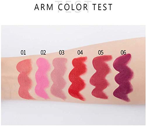 Juego de lápiz labial de 6 colores, lápiz labial hidratante suave de terciopelo mate, taza antiadherente impermeable de larga duración, juego de regalo de maquillaje de lápiz labial desnudo sexy
