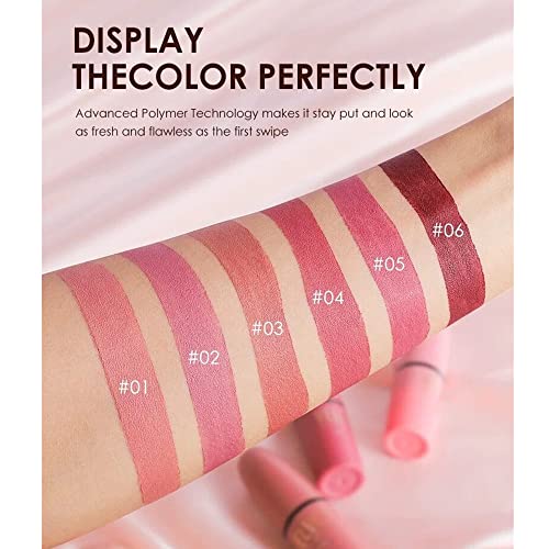 Juego de pintalabios mate de 6 colores, pintalabios de terciopelo, mate resistente al agua, taza antiadherente, juego de regalo de maquillaje de labios para niñas y mujeres