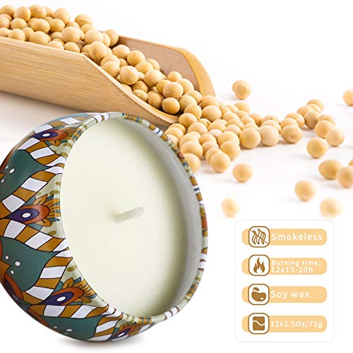 Juego De Velas Perfumadas Para Mujeres, Velas De Aromaterapia Para El Hogar,12 Paquetes De Velas De Cera De Soja Para El Día De La Madre Brithday