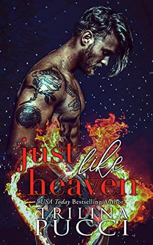Just like Heaven: Heaven or Hell Duet 1 (The St. Simeon Prep Series) (English Edition)