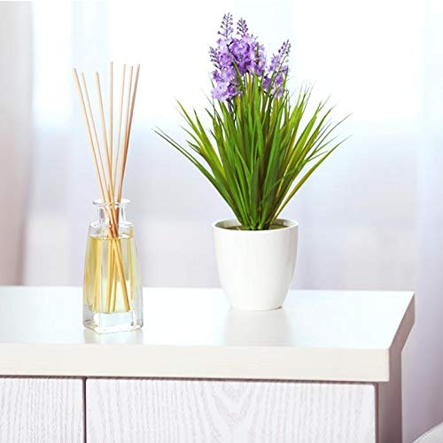 KATOOM Reed difusor de Aceite 200pcs Varillas de Reed de Rattan casero Madera Natural Sticks Fragancia para el hogar Cocina baño Sala de Estar Oficina Restaurante Hombre Mujere señorita Estudiante