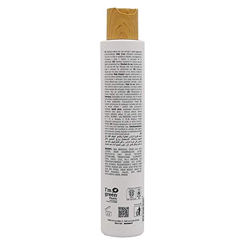 Kemon - Actyva Champú para El Pelo Nutrizione, 250 gr