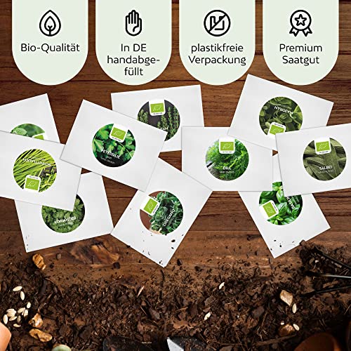 Kit de semillas plantas aromaticas ecologicas - set de semillas de hierbas aromaticas para jardín de hierbas interior o exterior