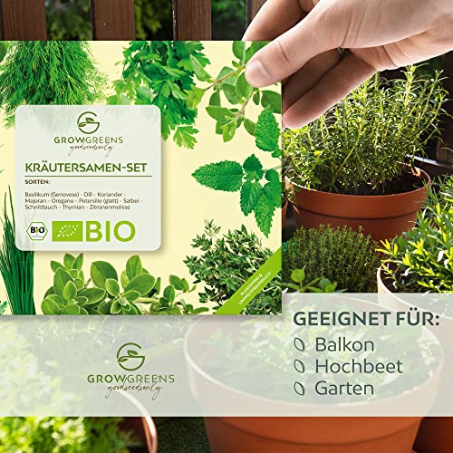 Kit de semillas plantas aromaticas ecologicas - set de semillas de hierbas aromaticas para jardín de hierbas interior o exterior