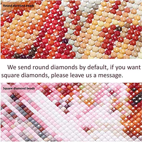 Kucyaty 5D Pintura Diamante Adulto Niños Diy Diamond Painting Kit Completo,40×50Cm,The Swing,By Jean-Honore Fragonard Cristal Mosaicos Cuadro Padres Hijos Descompresión Juguete