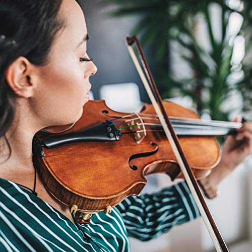 kwmobile Set de cuerdas para violín 4/4 - Set de 4 cuerdas de aluminio para violín eléctrico o acústico - Repuestos para Sol Re La Mi (G D A E)