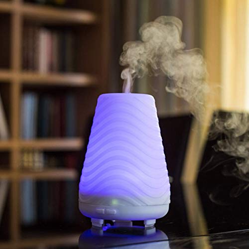 La Casa Aromas Aceite aromático Concentrado 15 ml para Humidificador o Difusor de Aroma (Shakura, Pack de 2)