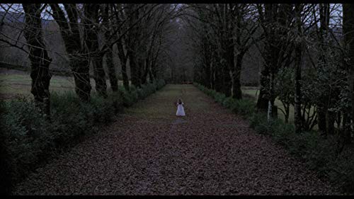 La Novia Ensangrentada (1972) [Ed.Limitada][BluRay]