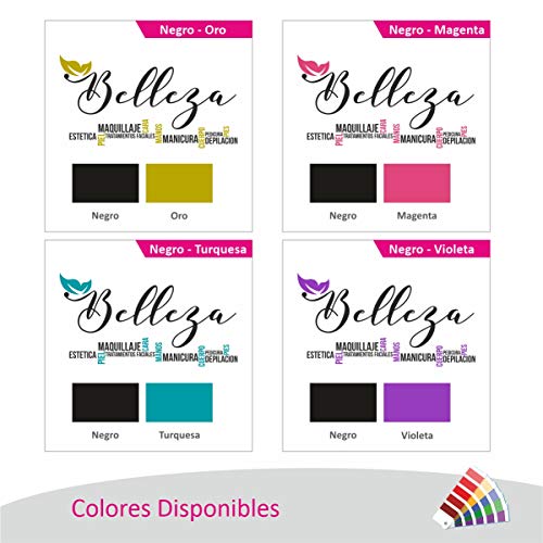 La Tienda de las Pegatinas® Vinilo Estética Secretos de Belleza, Peluquera, Esteticien, Sticker, Pegatina de pared, Decoración Peluquería. (Pequeño 80 x 42 cm, Negro - Magenta)